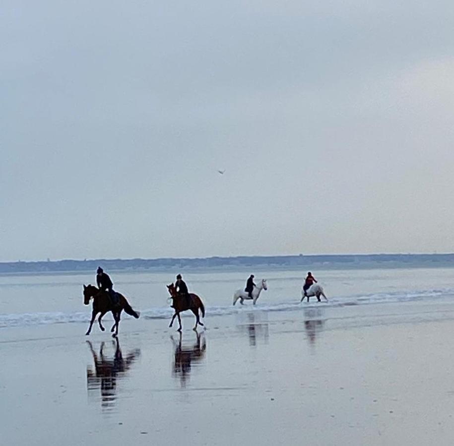 L'Escale A دوفييل المظهر الخارجي الصورة